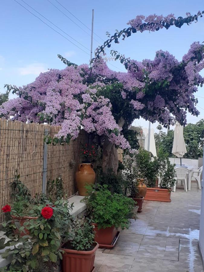 Casa Antonia Apartamento Anacapri  Exterior foto